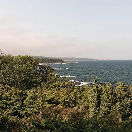 Pet Friendly In With Wifi Holiday home *